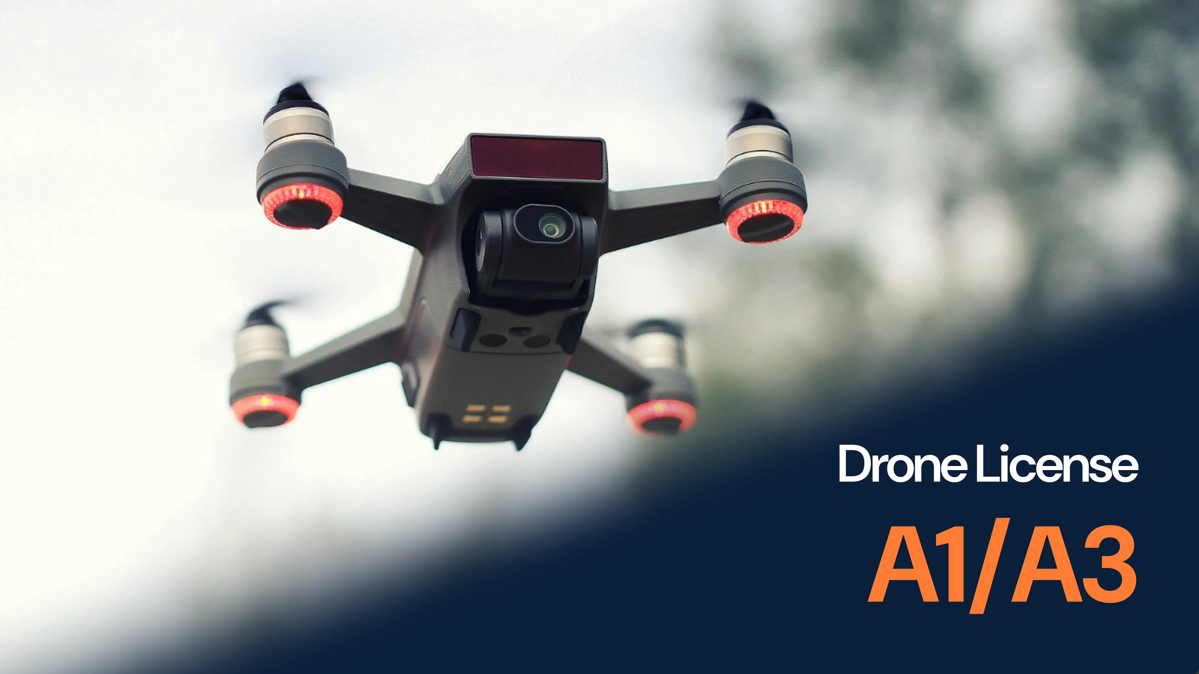 A1/A3 dronelupa
