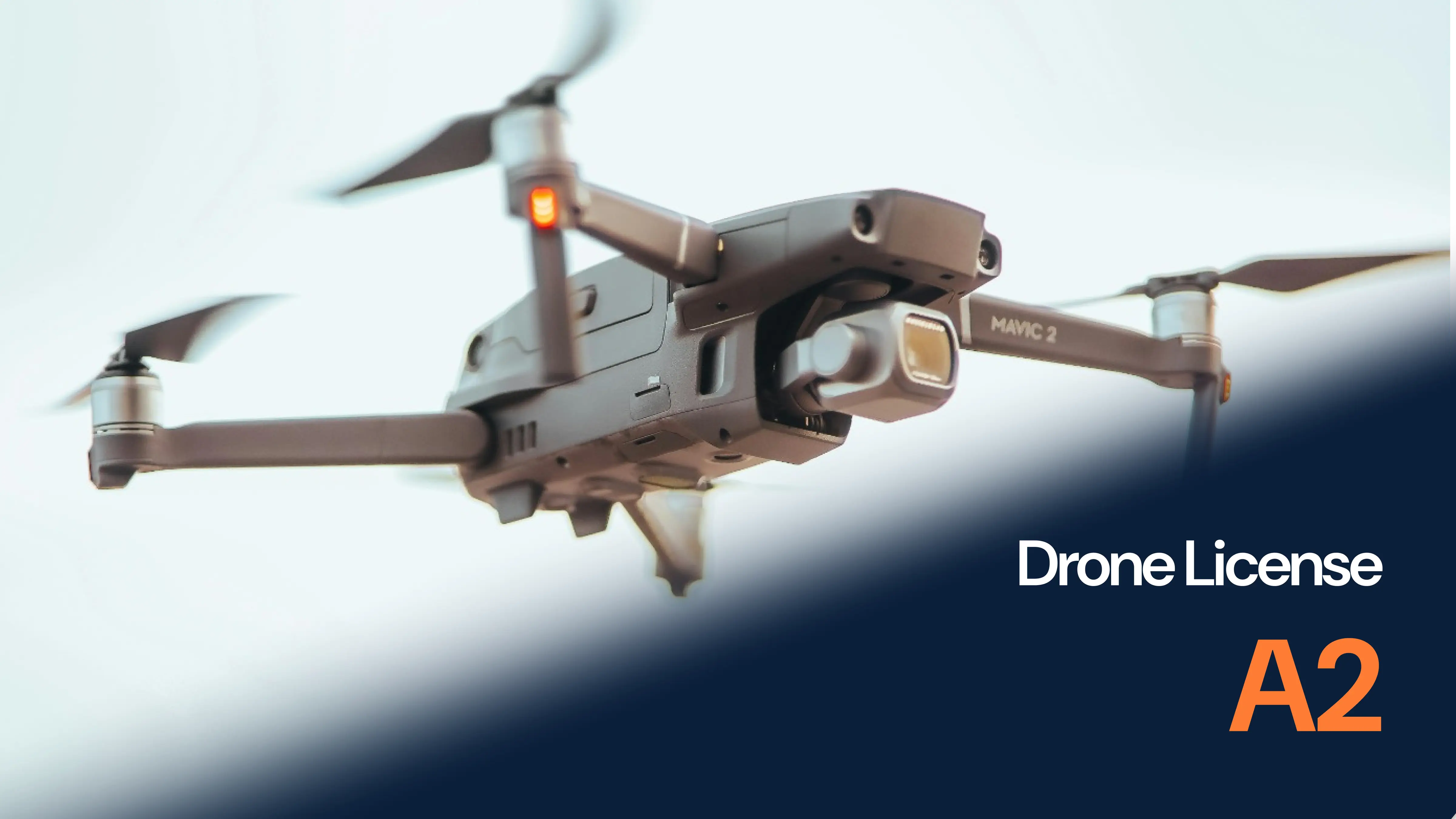 A2 dronelupa