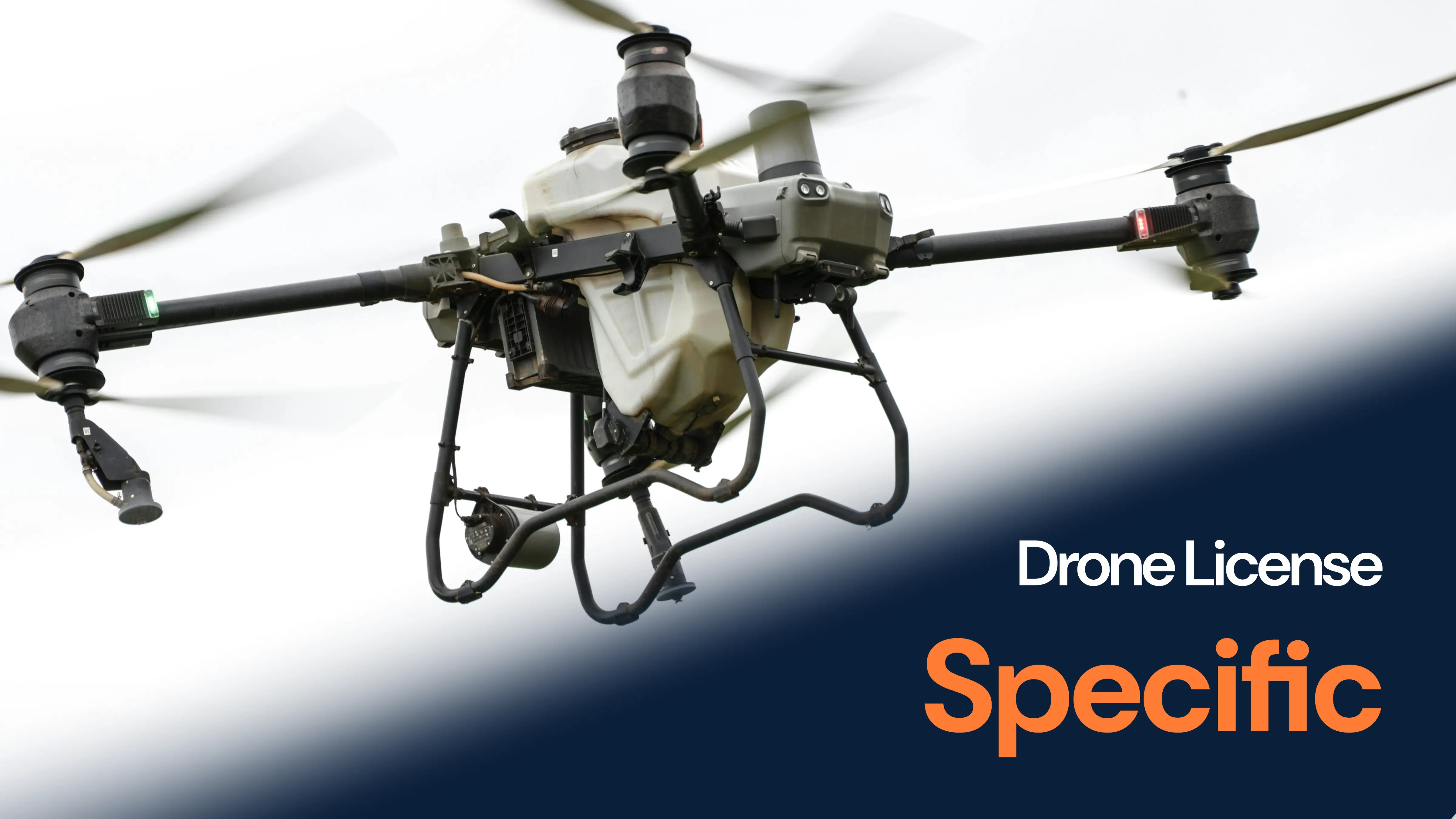 Erityinen dronelupa